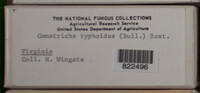 Image Associated With the Occurence